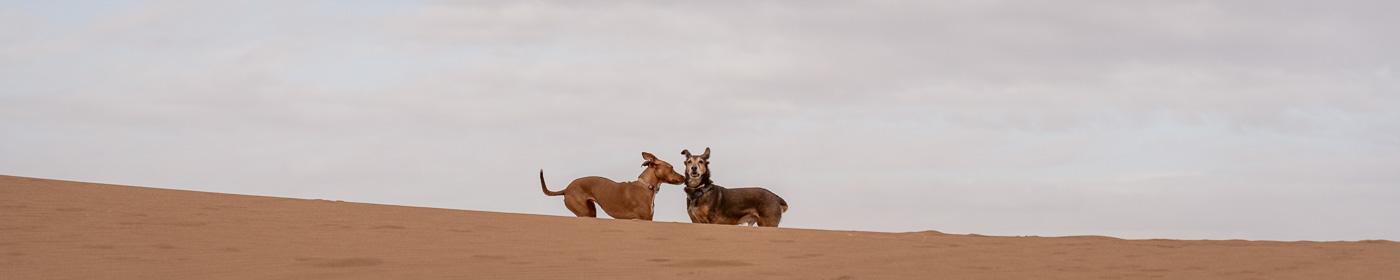 DCDC Wandler 12V 24V