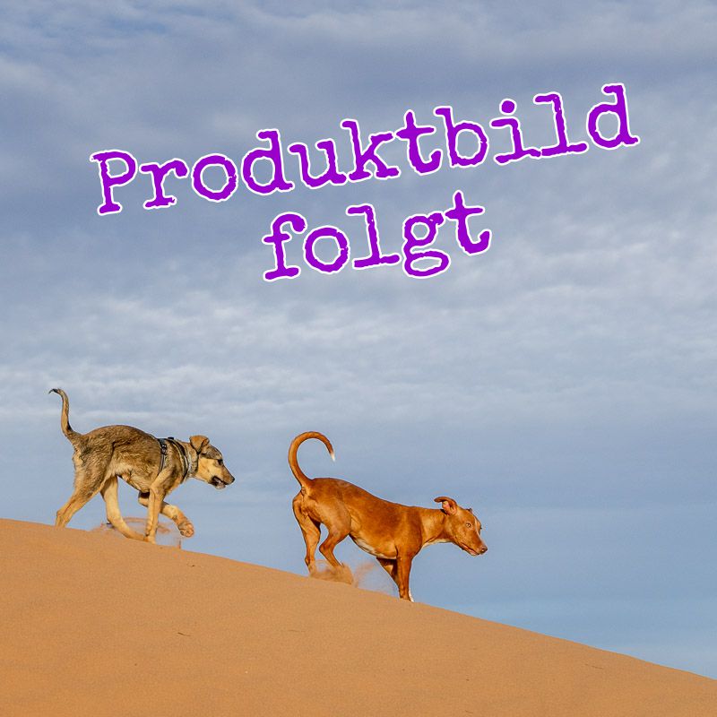 Kfz Flachstecksicherung TYP ATO