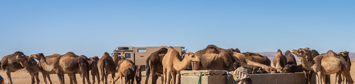 Flexible Solarmodule Wohnmobil und Camper