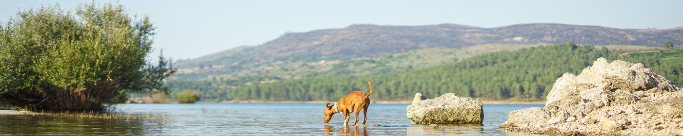 LiFeYPO4 Lihtium Batterien von Fraron