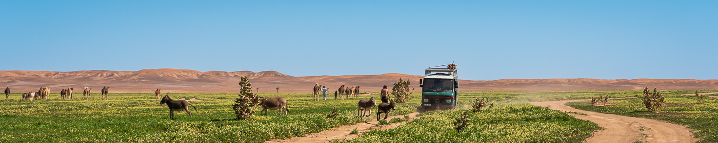 Inverter für 12V / 24V zu 230V